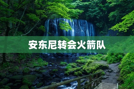 安东尼转会火箭队：谁是最大赢家？