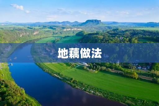 地藕做法:营养丰富的地道美食 地藕做法:营养丰富的地道美食