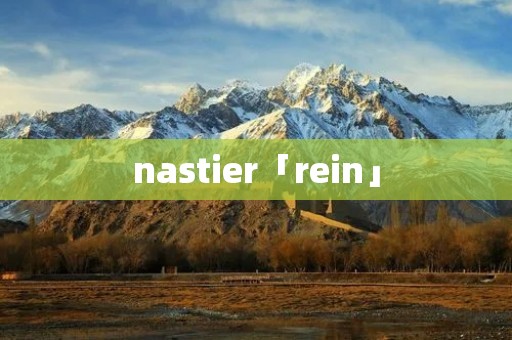 nastier「rein」