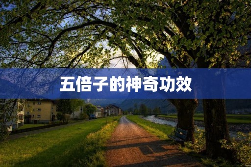 五倍子的神奇功效:从保健到美容,全面提升健康水平 五倍子的神奇功效:从保健到美容,全面提升健康水平