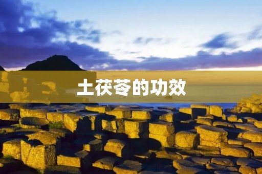 土茯苓的功效：祛湿、健脾、抗癌、降血脂