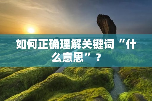 如何正确理解关键词“什么意思”?
