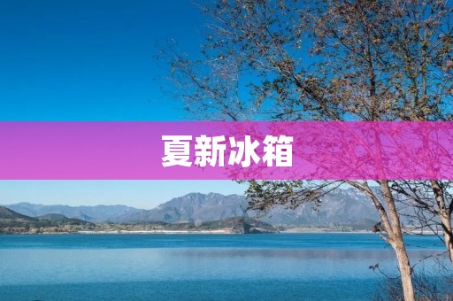 夏新冰箱:老牌子还是新生力量? 夏新冰箱:老牌子还是新生力量?