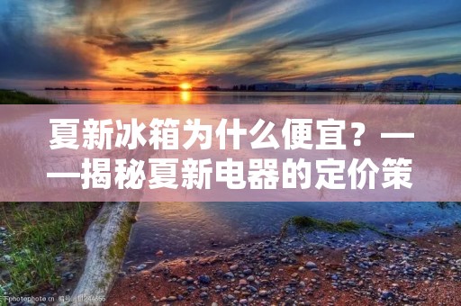 夏新冰箱为什么便宜?——揭秘夏新电器的定价策略 夏新冰箱为什么便宜?——揭秘夏新电器的定价策略