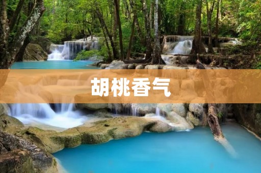 胡桃香气:让你的味觉与嗅觉一同享受的美食体验 胡桃香气:让你的味觉与嗅觉一同享受的美食体验