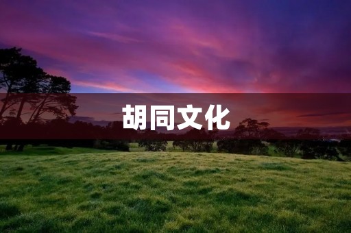 胡同文化:老北京的文化记忆 胡同文化:老北京的文化记忆