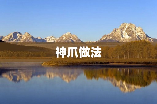 神爪做法：脆嫩鲜美的美食艺术