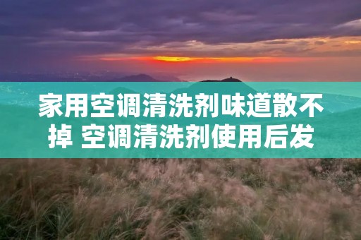 家用空调清洗剂味道散不掉 空调清洗剂使用后发臭