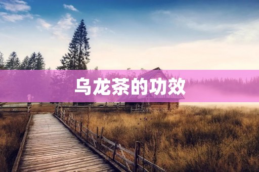 乌龙茶的功效:从口感到健康全方位解读 乌龙茶的功效:从口感到健康全方位解读