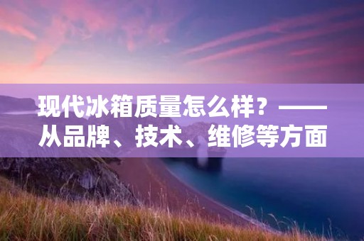 现代冰箱质量怎么样?——从品牌、技术、维修等方面探讨 现代冰箱质量怎么样?——从品牌、技术、维修等方面探讨