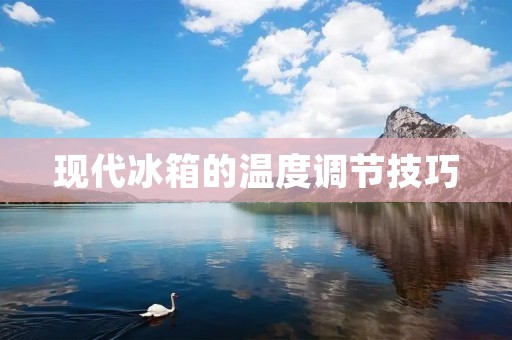 现代冰箱的温度调节技巧 现代冰箱的温度调节技巧