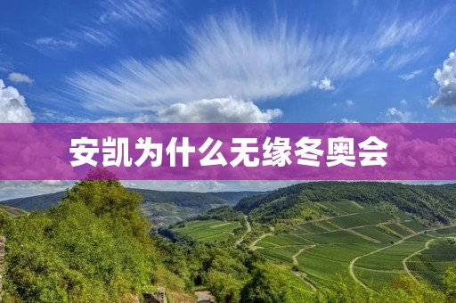 安凯为什么无缘冬奥会