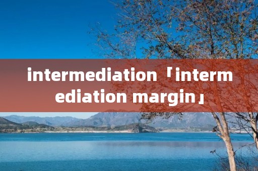 intermediation「intermediation margin」