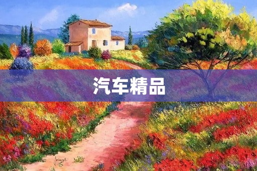 汽车精品：让您的座驾更具品味