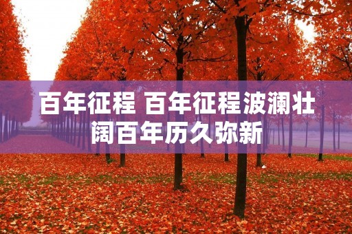 百年征程 百年征程波澜壮阔百年历久弥新