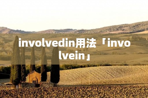 involvedin用法「involvein」