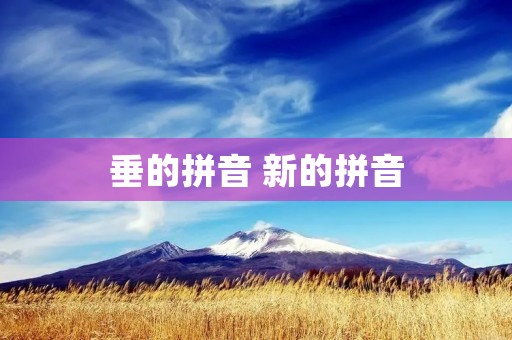 垂的拼音 新的拼音