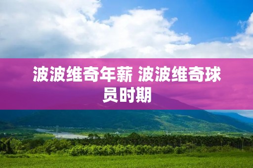 波波维奇年薪 波波维奇球员时期
