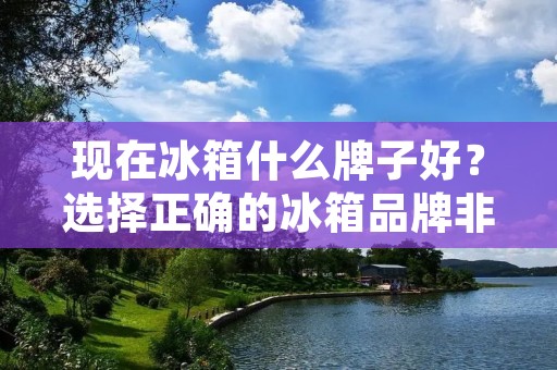 现在冰箱什么牌子好？选择正确的冰箱品牌非常重要，因为这个家电设备每天都要使用。市场上有很多不同的冰箱品牌，每个品牌都有其独特的特点和优点。在购买冰箱之前，需要考虑家庭的需求、预算和个人喜好。在本文中，我们将介绍一些现在最受欢迎的冰箱品牌，以帮助你做出最好的选择。