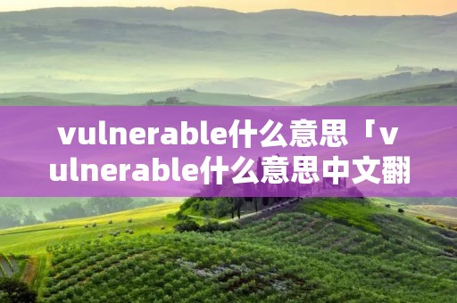 vulnerable什么意思「vulnerable什么意思中文翻译」