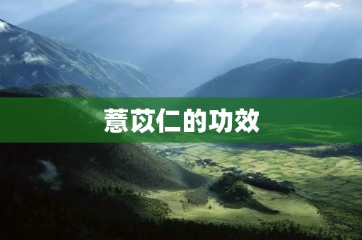 薏苡仁的功效:美容养颜、减肥瘦身、调理内分泌 薏苡仁的功效:美容养颜、减肥瘦身、调理内分泌