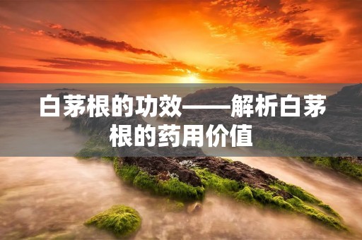 白茅根的功效——解析白茅根的药用价值