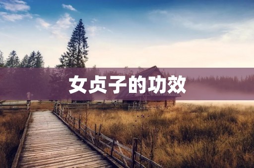 女贞子的功效:祛湿健脾,抗氧化,抗疲劳 女贞子的功效:祛湿健脾,抗氧化,抗疲劳