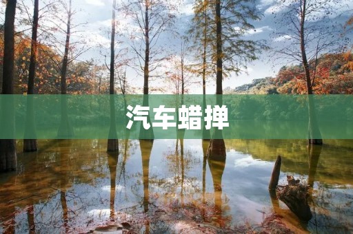 汽车蜡掸:让你的爱车焕然一新 汽车蜡掸:让你的爱车焕然一新