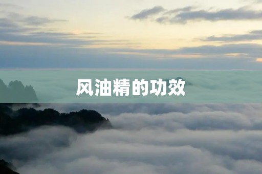 风油精的功效：缓解头痛、舒缓肌肉酸痛、提神醒脑