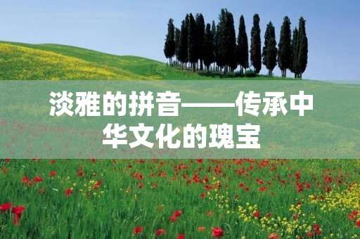 淡雅的拼音——传承中华文化的瑰宝