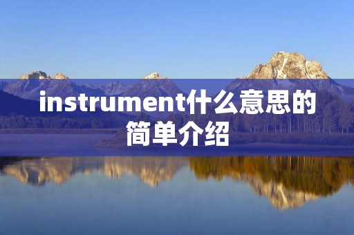 instrument什么意思的简单介绍