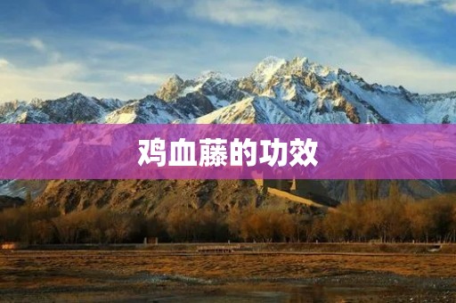 鸡血藤的功效:一种神奇的中药材 鸡血藤的功效:一种神奇的中药材