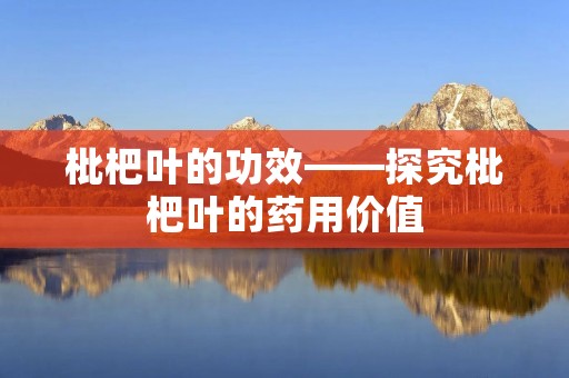 枇杷叶的功效——探究枇杷叶的药用价值 枇杷叶的功效——探究枇杷叶的药用价值