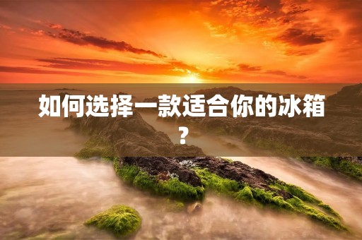 如何选择一款适合你的冰箱? 如何选择一款适合你的冰箱?
