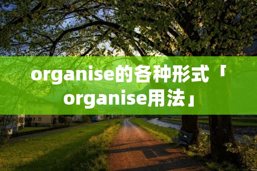 organise的各种形式「organise用法」 organise的各种形式「organise用法」