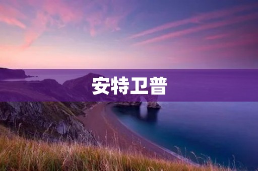 安特卫普：比利时北部的文化名城