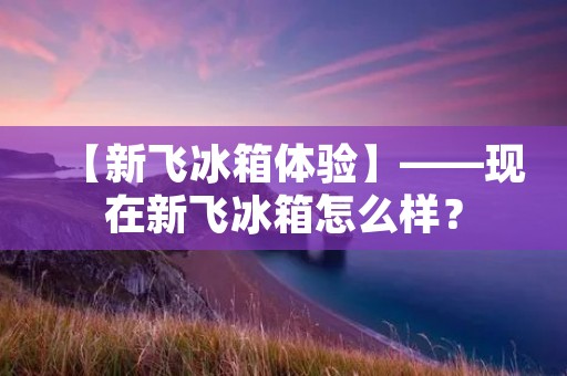 【新飞冰箱体验】——现在新飞冰箱怎么样? 【新飞冰箱体验】——现在新飞冰箱怎么样?