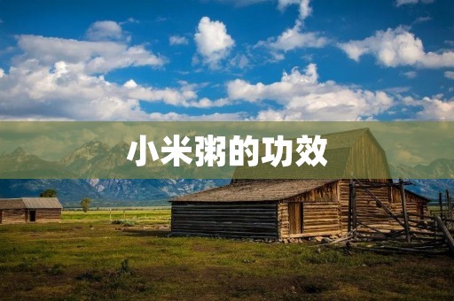 小米粥的功效:让你健康又美丽 小米粥的功效:让你健康又美丽