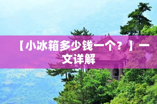 【小冰箱多少钱一个？】一文详解
