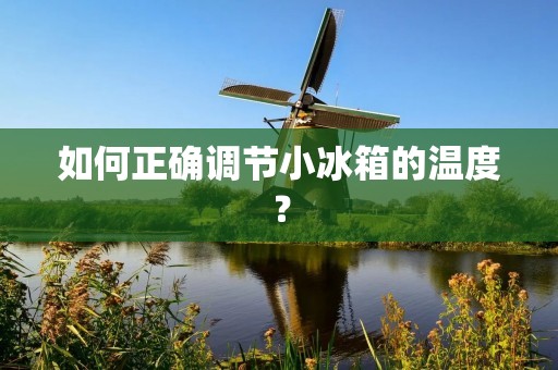 如何正确调节小冰箱的温度？