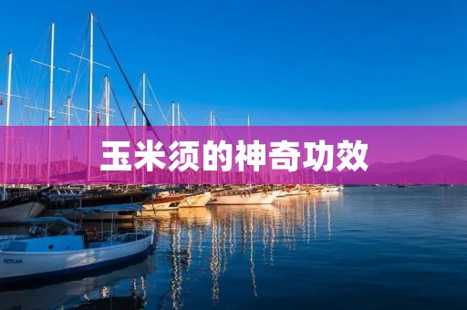 玉米须的神奇功效 玉米须的神奇功效