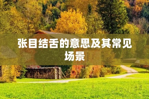 张目结舌的意思及其常见场景