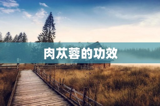肉苁蓉的功效:从中医角度探讨 肉苁蓉的功效:从中医角度探讨