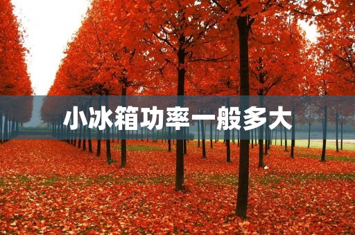 小冰箱功率一般多大