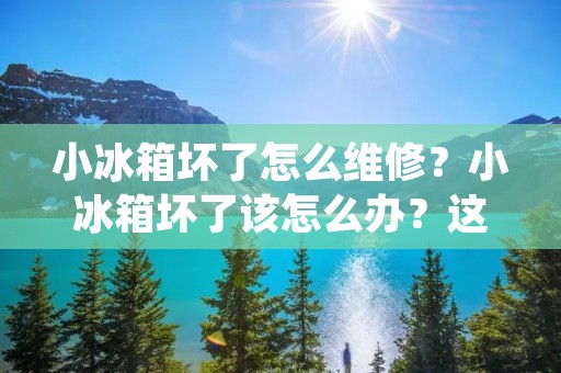 小冰箱坏了怎么维修？小冰箱坏了该怎么办？这是我们经常会遇到的问题。小冰箱是我们生活中必不可少的一部分，它可以帮助我们保存食物和饮料，让我们的生活更加便利。但是，当小冰箱出现故障时，我们该怎么办呢？在本文中，我们将为您提供一些小冰箱维修的方法和技巧，帮助您轻松解决小冰箱故障的问题。