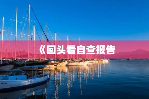 《回头看自查报告:加强自我管理,提高工作效率》