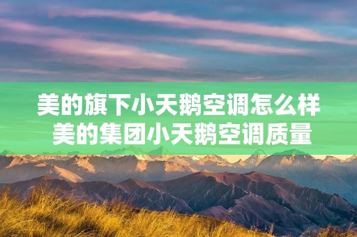 美的旗下小天鹅空调怎么样 美的集团小天鹅空调质量如何
