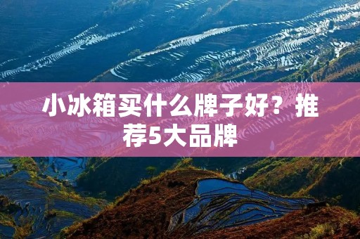 小冰箱买什么牌子好？推荐5大品牌