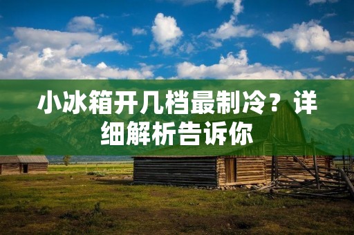 小冰箱开几档最制冷？详细解析告诉你