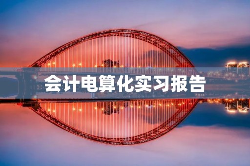 会计电算化实习报告